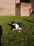Picking flowers in the palace
