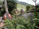 Mule train headed up the "road"