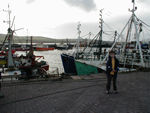 Maggie and Dingle harbor